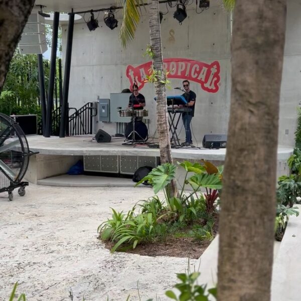 two people performing in a live band