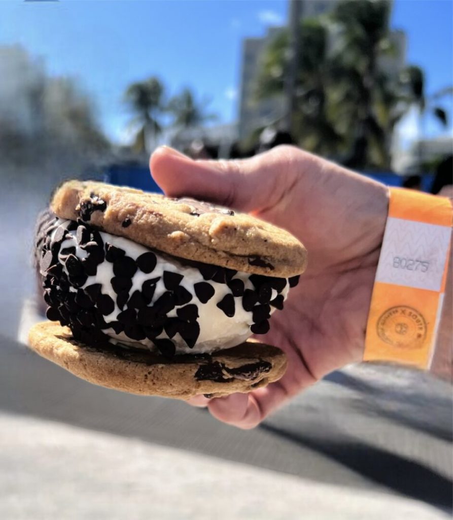 Ice cream sandwich with chocolate chips
